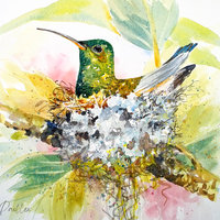 Hummingbird Nest"