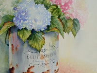 "Belle Jardiniere" - Hydrangeas