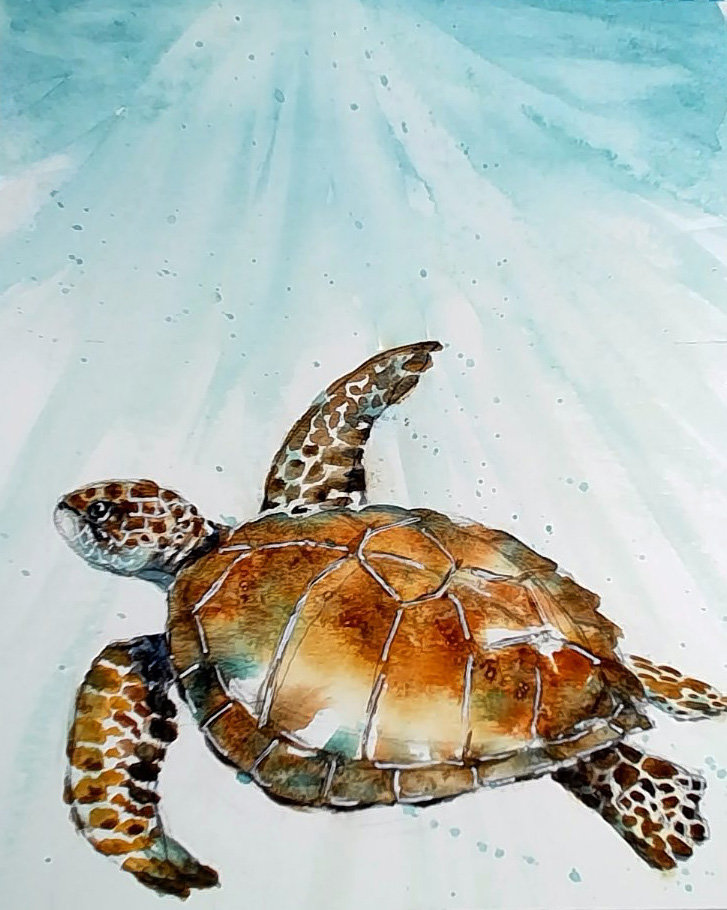 "Sea Turtle" in Watercolor