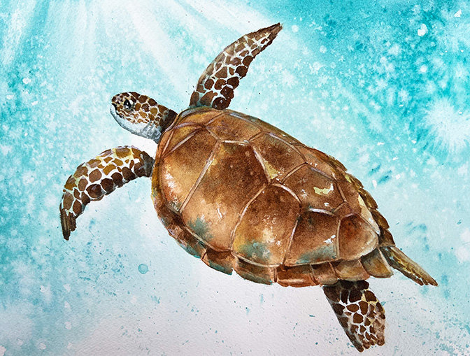 "Sea Turtle" in Watercolor