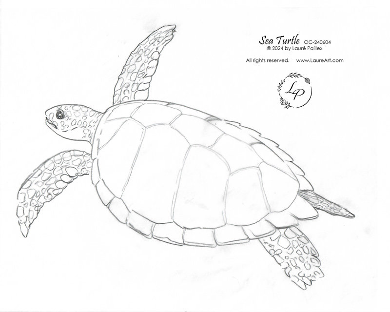"Sea Turtle" in Watercolor