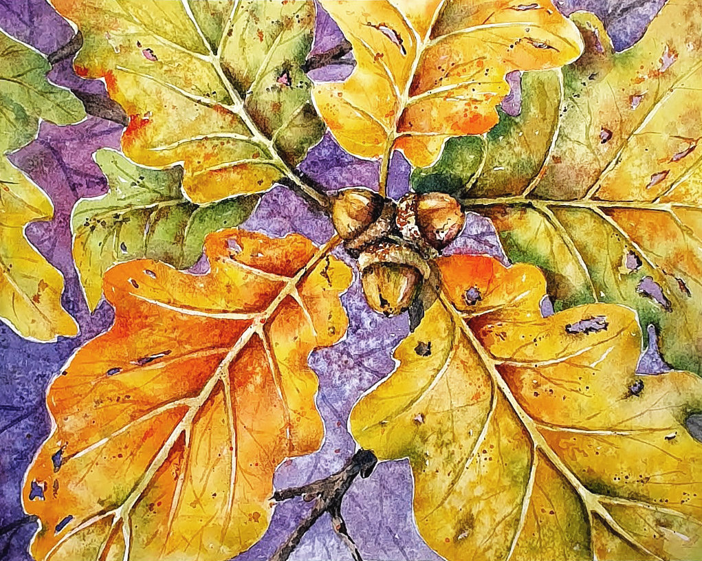 "Autumn Oak & Acorns" in Watercolor