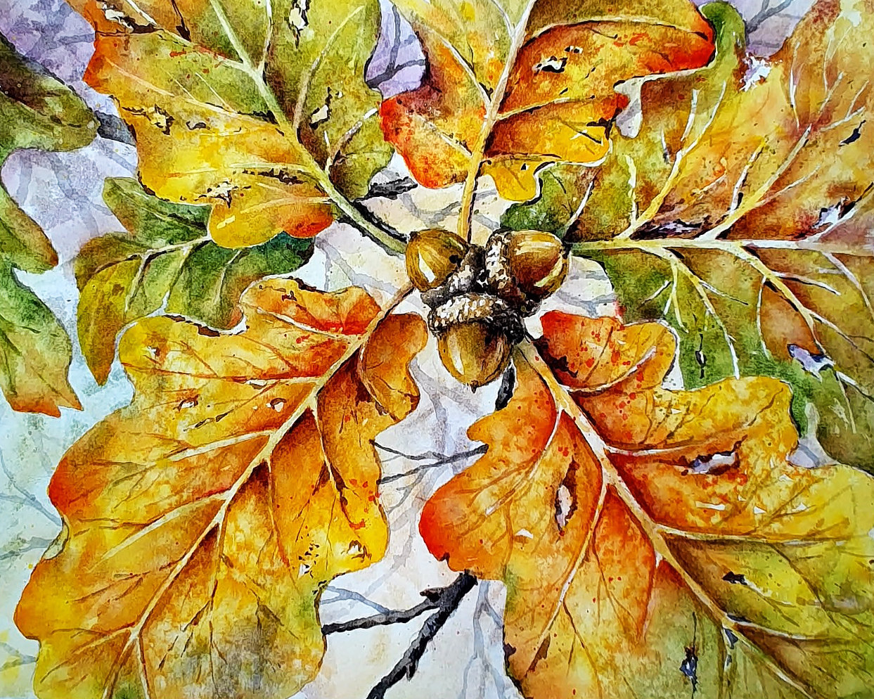 "Autumn Oak & Acorns" in Watercolor