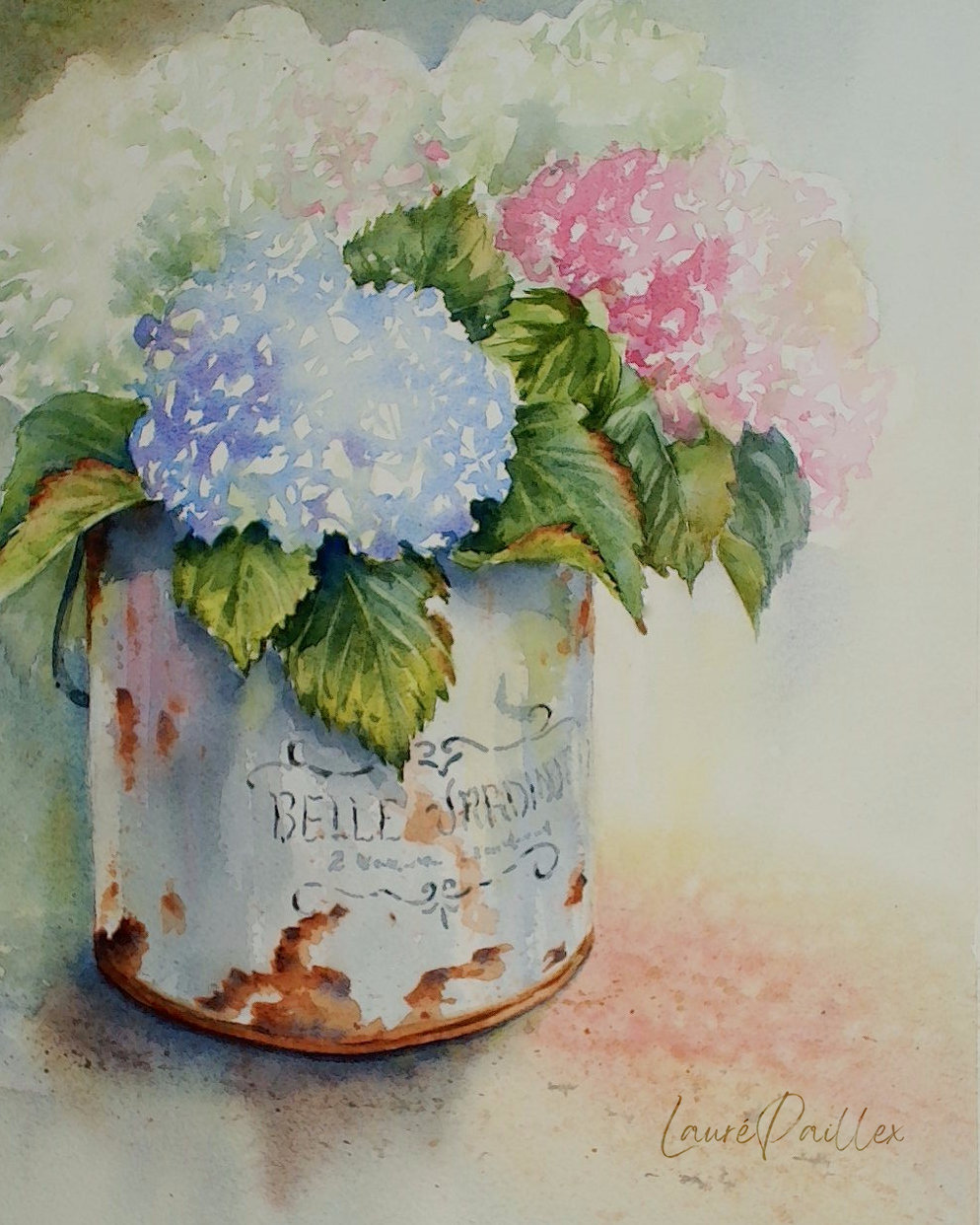"Belle Jardiniere" - Hydrangeas